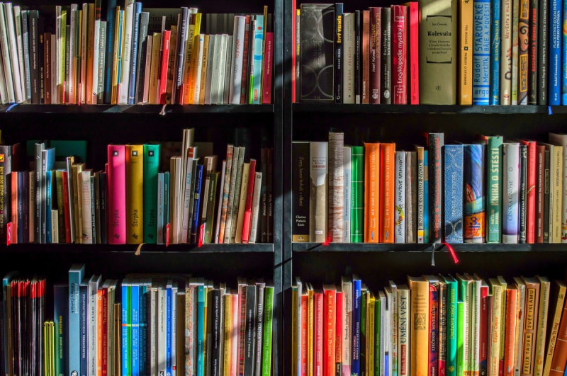 boutique-BAUDUEN-min_books_bookstore_book_reading_shop_writer_sale_books_read-822866